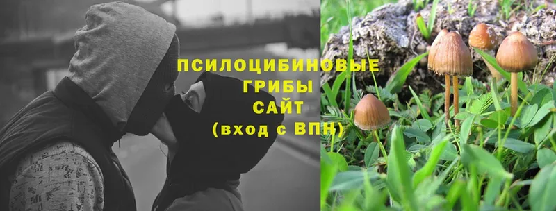 Псилоцибиновые грибы MAGIC MUSHROOMS  Верхоянск 